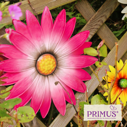 No.PA2544 Large Metal Wall Mounted Daisy Pink