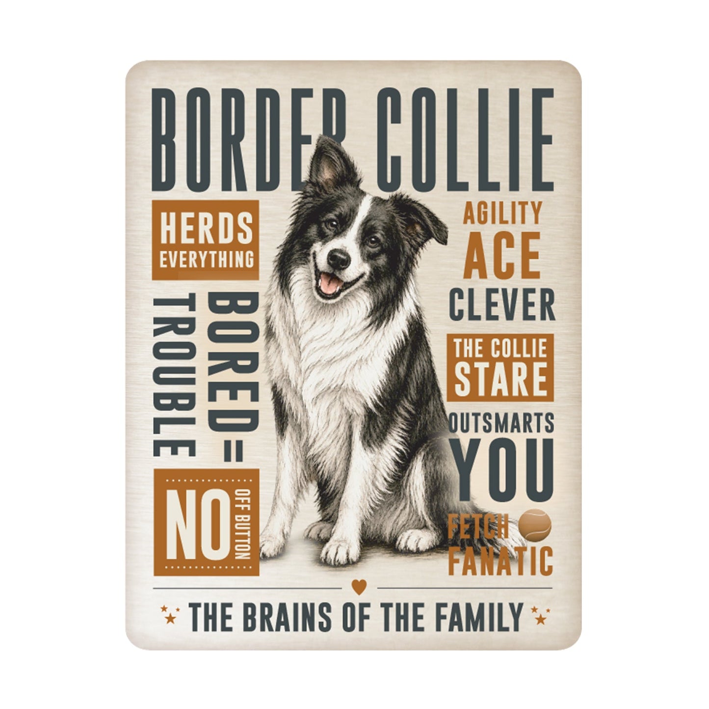 No.PH3009 Metal Pet Personality Plaque - Border Collie