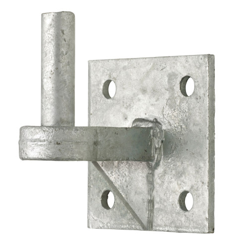 Hinges with hook on plate