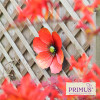 No.PA2540 Large Metal Wall Mounted Poppy