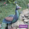 No.PQ1835 Large Metal Peacock on Standing Perch