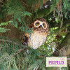 No.PQ1843 Small Metal Standing Brown Owl