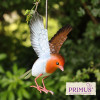 No.PQ1861 Small Metal Hanging Robin